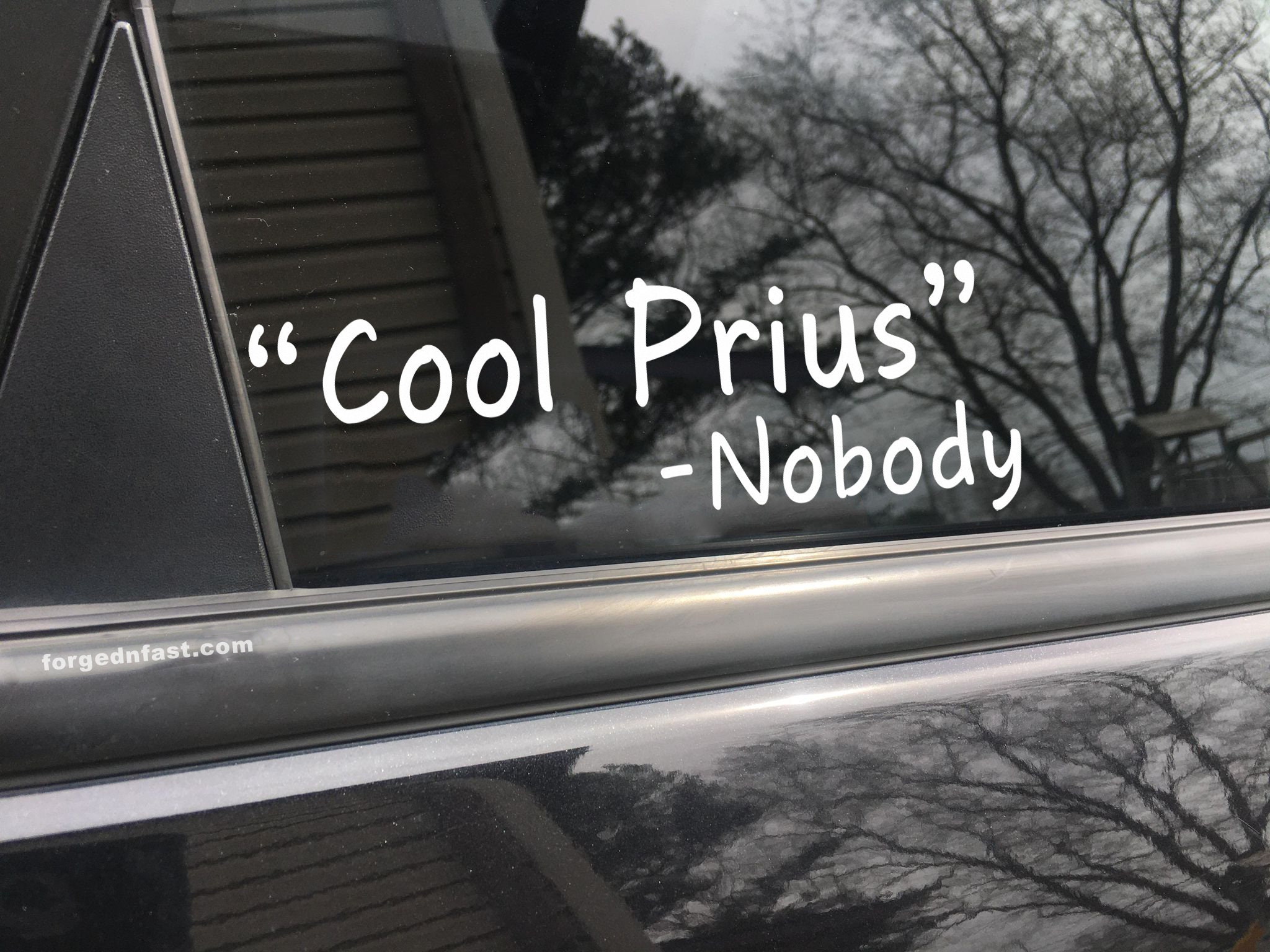 Cool prius sale nobody