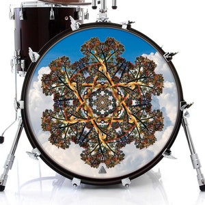 Century Plant Graphic Drum Skin