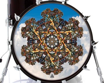 Century Plant Graphic Drum Skin