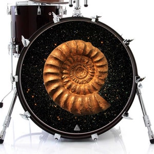 Fossil Graphic Drum Skin