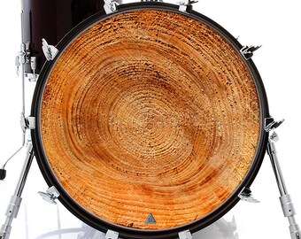 Growth Rings Graphic Drum Skin