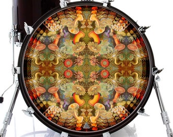 Anemone Flips Graphic Drum Skin