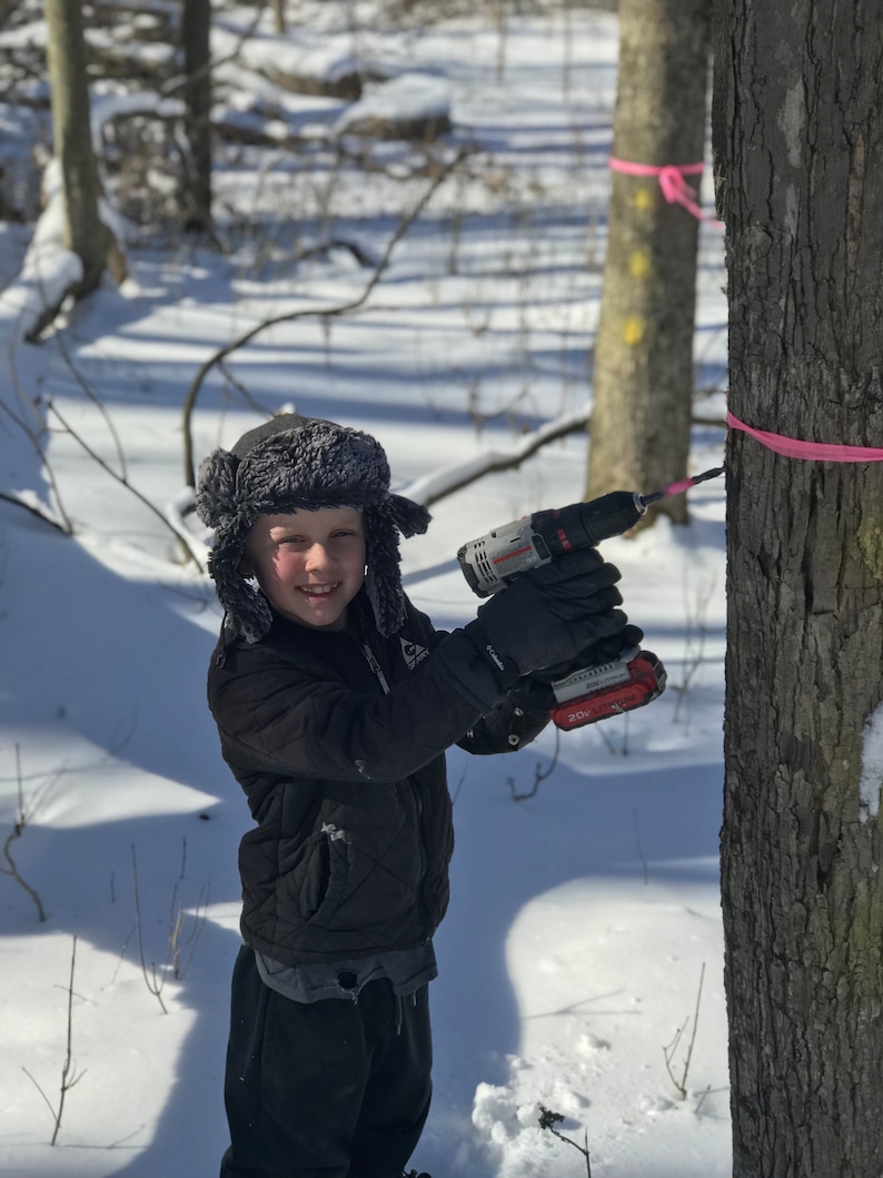 Puede incluir: Una persona joven con una chaqueta negra y un gorro de piel perfora un agujero en el tronco de un &aacute;rbol en un bosque nevado. La persona est&aacute; usando un taladro inal&aacute;mbrico con un mango rojo y negro. Hay una cinta rosa atada alrededor del tronco del &aacute;rbol.