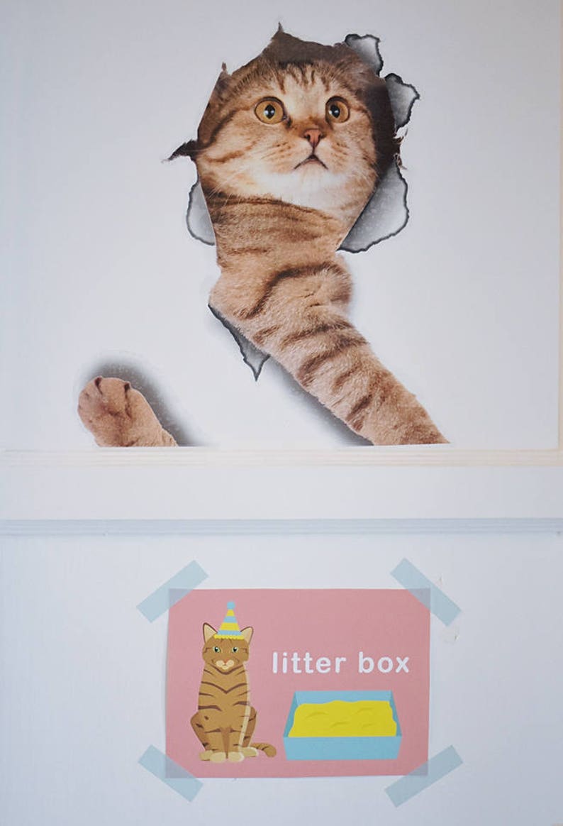 Puppy Kitten Birthday Party 5 x 7  INSTANT image 2