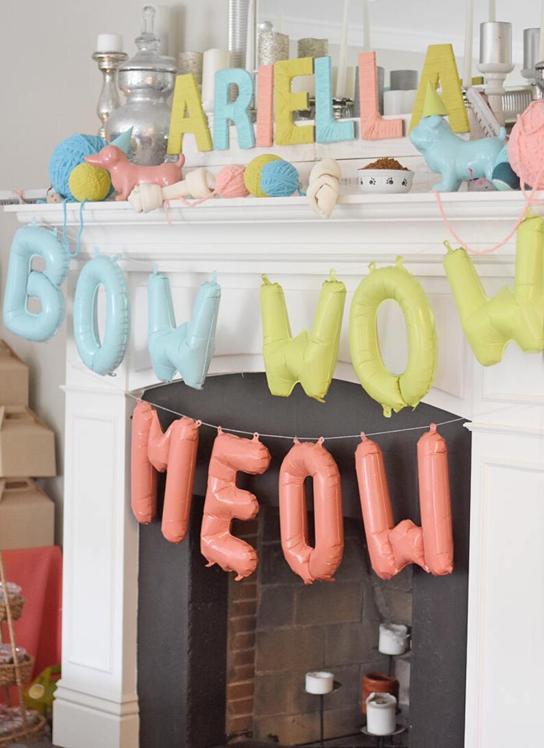 Puppy Kitten Birthday Party 5 x 7  INSTANT image 9