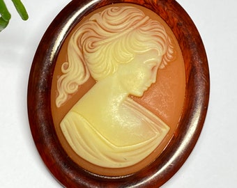 Broche Camée Vintage Damart - Plastique Imitation Ambre, Occasion, Style Rétro