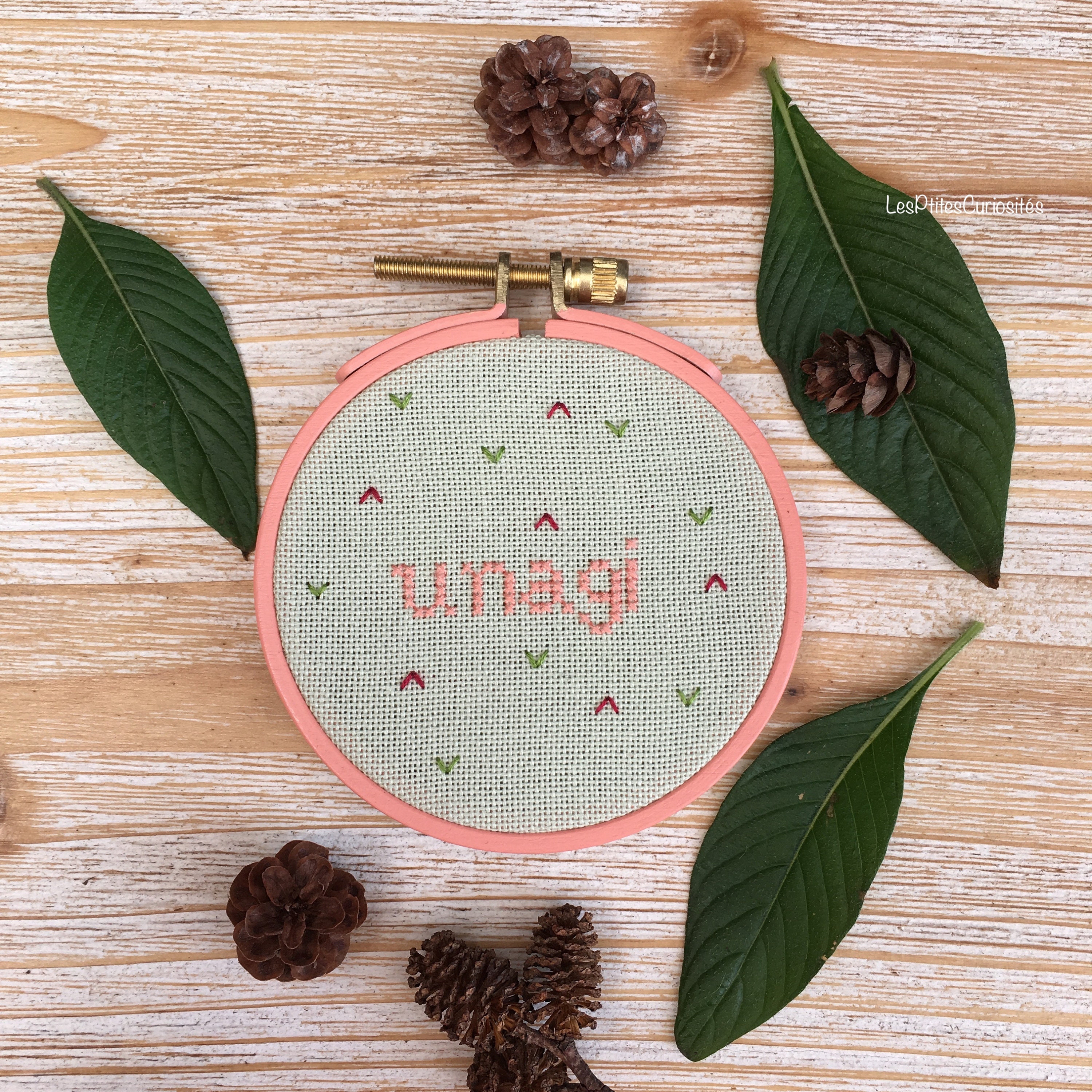 Tambour Décoratif Spécial Friends Unagi | Cornet de Peau Saumon