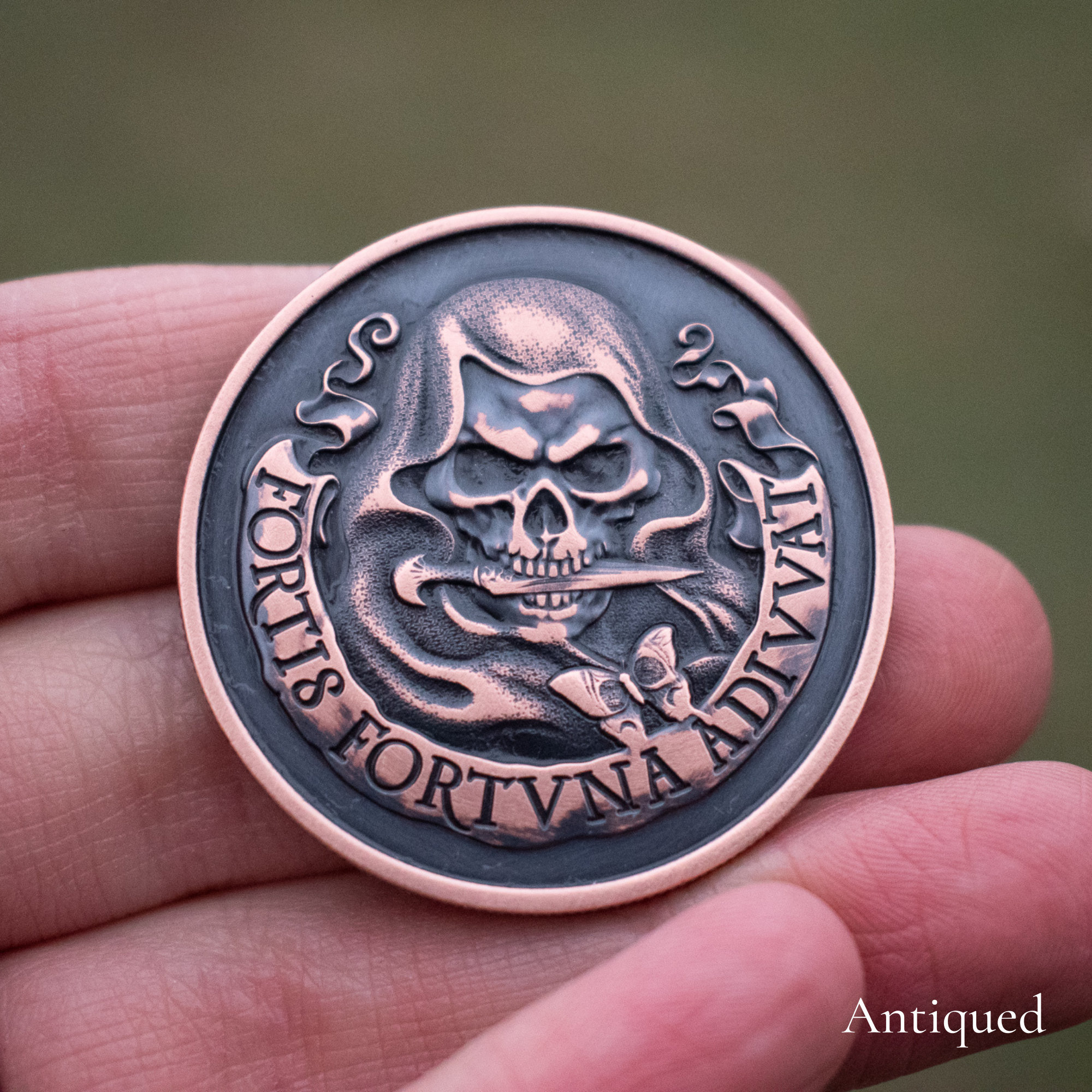 Fortis Fortuna Adiuvat Latin Challenge Coin Worry Fiddle EDC Everyday Carry  Copper Skull Stoic Men's Gift Fortune Favors the Brave -  Canada