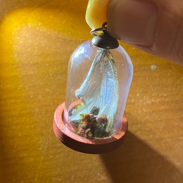 Glass dome with butterfly wing necklace pendant