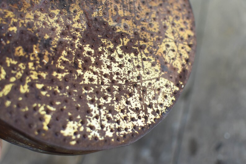 Puede incluir: Primer plano de una regadera de metal oxidada con un acabado dorado. La regadera tiene una parte superior redonda y plana con un patr&oacute;n de peque&ntilde;os agujeros.