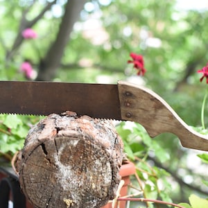 Op de afbeelding: Een roestige handzaag met een houten handvat rust op een boomstronk. De zaag is gedeeltelijk in de stronk gestoken. De achtergrond is wazig en toont groen gebladerte en rode bloemen.