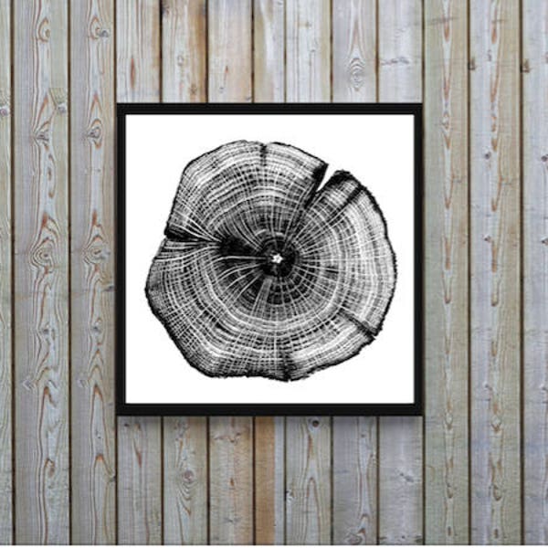 Tree Ring Art Etsy