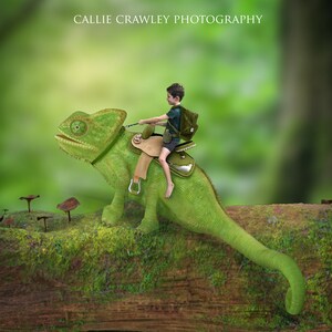 Reiten auf einer Eidechse. Digitaler Hintergrund. Hintergrund. Zusammengesetzten. Photoshop. Fantasy-Hintergrund. Abenteuer. Kunst-Venture. Kinder digital. Eidechse.