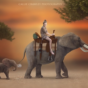 Reiten auf einem Elefanten. Elefant digitaler Hintergrund. Hintergrund. Zusammengesetzten. Photoshop. Fantasy-Hintergrund. Abenteuer. Kunst-Venture. Kinder digital.