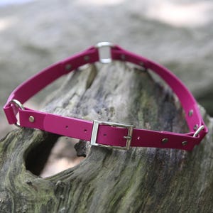 Biothane Dog-Walking Belt