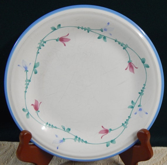 Discontinued dishes 2025