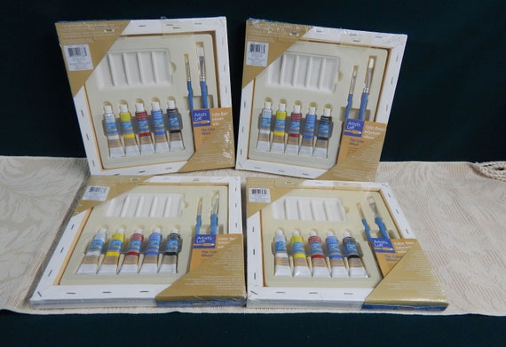 Canvas Painting Kits Artist's Loft Acrylic Painting Kit 10 X 10 Canvas  Acrylic Paints Paint Brushes Introduction to Acrylics 
