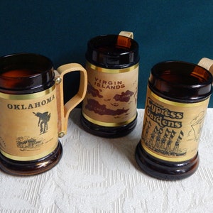 State Souvenir Beer Stein: Amber Glass Barrel Mug with Wood Sleeve