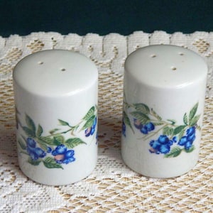 May include: Two white ceramic salt and pepper shakers. Each shaker has a cylindrical shape with three holes on top. The shakers are decorated with a blue floral design with green leaves.