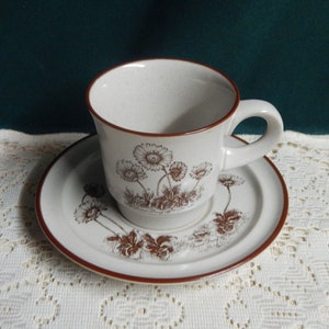 Noritake Desert Flowers Cup and Saucer Set: Retro Stoneware, Japan