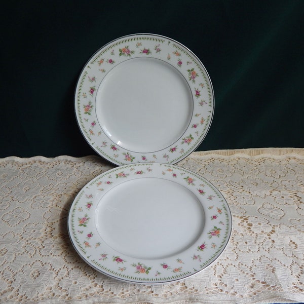 Abingdon by Japan Dinner Plates - Sets of 2 or Individual Plates - Replacements for Discontinued China  - Fine China Made in Japan