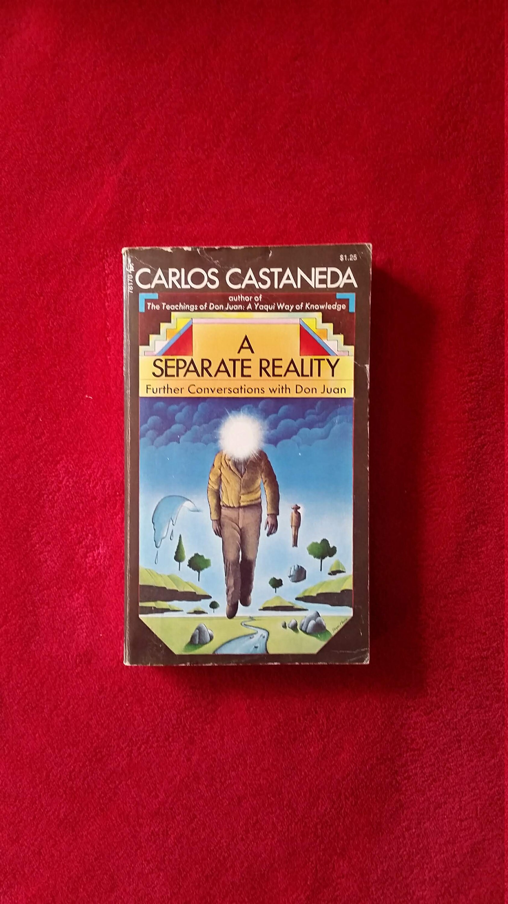 洋書　A Separate Reality Carlos Castaneda A Separate Reality: Further Conversations With Don Juan