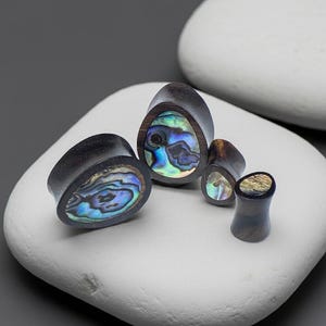 May include: A collection of dark wood ear plugs with iridescent abalone shell inlays. The plugs vary in size and shape, including teardrop and cylindrical designs. The abalone shell displays a range of colors, including blue, green, and gold.