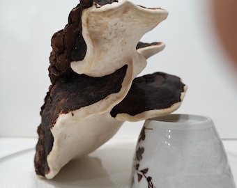 May include: A large, dark brown and white shelf fungus with a rough, textured surface, resting against a small, white ceramic cup decorated with a delicate brown floral pattern on its side.
