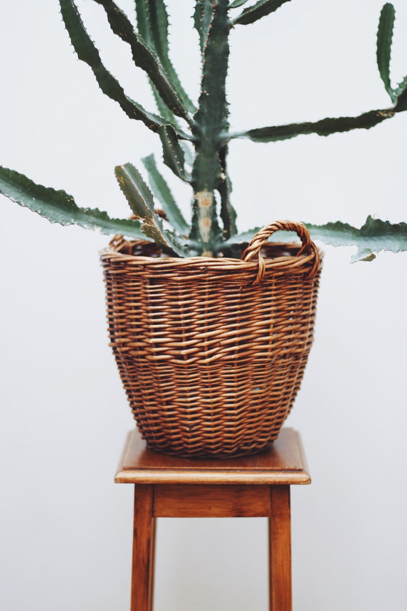 Vintage Straw Basket for Plants Etsy