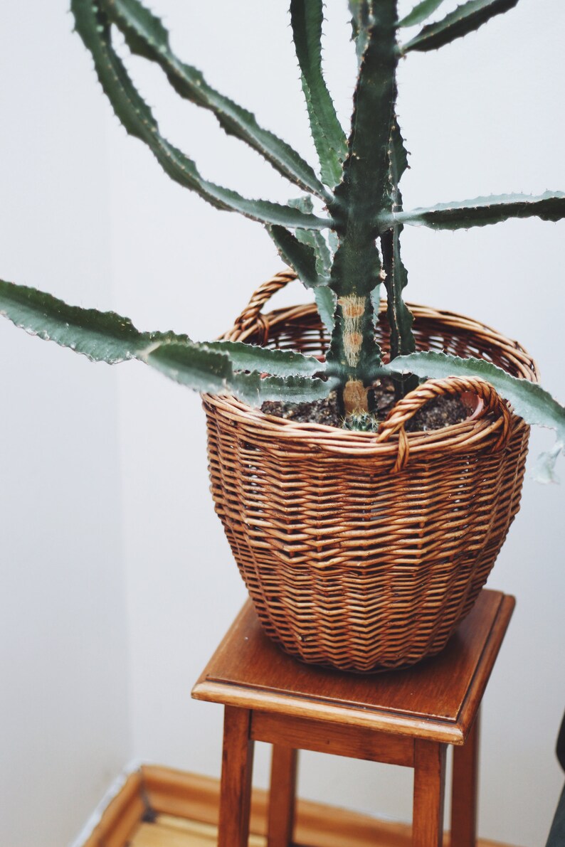 Vintage Straw Basket for Plants Etsy