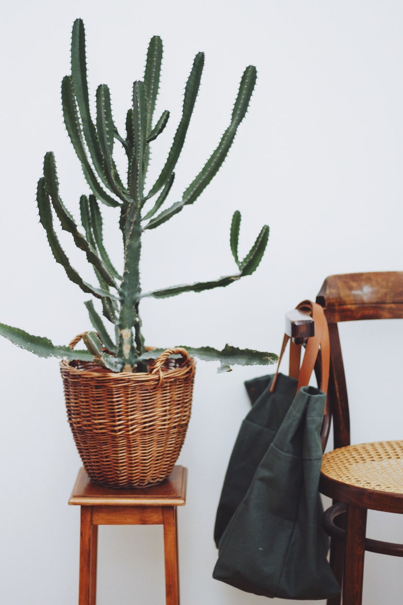 Vintage Straw Basket for Plants Etsy