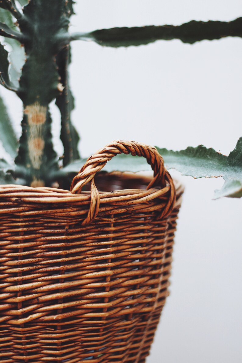 Vintage Straw Basket for Plants Etsy