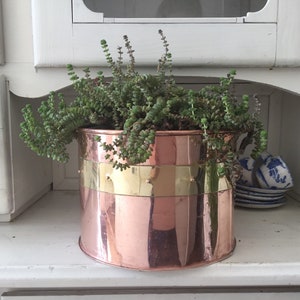 May include: A copper and brass planter with a green succulent plant. The planter has a rounded shape and a brass band around the middle.