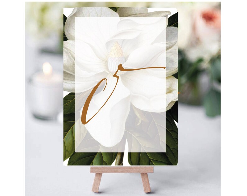 WHITE MAGNOLIA Instant Printable Table Number, Table Number, garden Wedding Table Numbers, Wedding Table Cards, botanical Number Cards image 7
