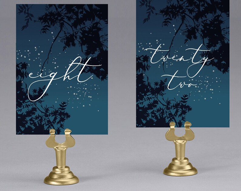 Large Star Table Numbers Star Celestial Table Numbers Starry Night Galaxy Astronomy - Etsy