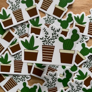 Plant Sticker, Cactus Sticker