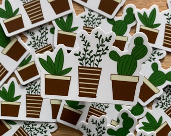 Plant Sticker, Cactus Sticker