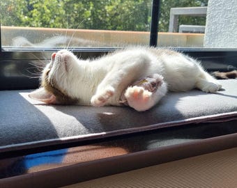 Cama para gatos para alféizar de ventana, alfombrilla para gatos Petbed para alféizar de ventana, cojín para perros y gatos hecho a medida, personalizado y a medida.