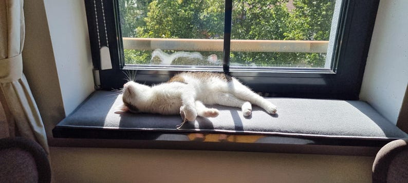 Puede incluir: Un gato, predominantemente blanco con manchas marrones, descansa sobre un coj&iacute;n gris en el alf&eacute;izar de la ventana. El gato est&aacute; acostado cerca de una ventana con vistas a &aacute;rboles verdes. El marco de la ventana es negro y la escena est&aacute; iluminada por el sol.