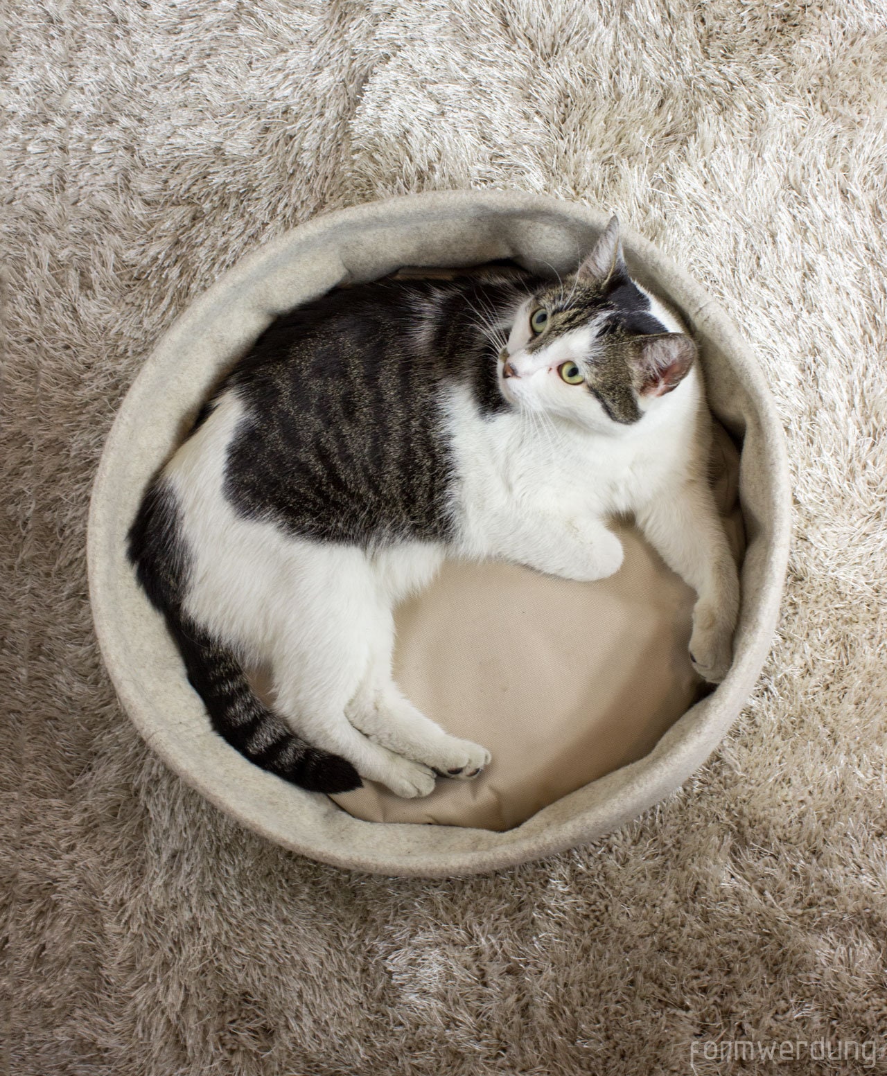 Cat Beds & Cat Pillow Luxury Woolfelt Dog Bed Pet Bed With Etsy UK