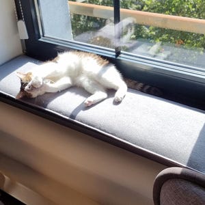 Puede incluir: Un gato blanco y marr&oacute;n descansa sobre un coj&iacute;n gris colocado en el alf&eacute;izar de una ventana. El gato est&aacute; acurrucado, disfrutando de la luz solar que entra por la ventana. La escena est&aacute; enmarcada por cortinas y una vista del exterior.