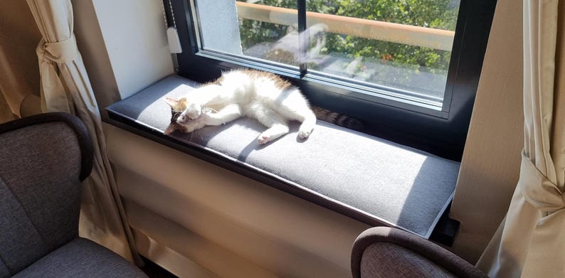 Puede incluir: Un gato blanco y marr&oacute;n descansa sobre un coj&iacute;n gris colocado en el alf&eacute;izar de una ventana. El gato est&aacute; acurrucado, disfrutando de la luz solar que entra por la ventana. La escena est&aacute; enmarcada por cortinas y una vista del exterior.