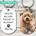 see more listings in the Pet Gifts/Tags section