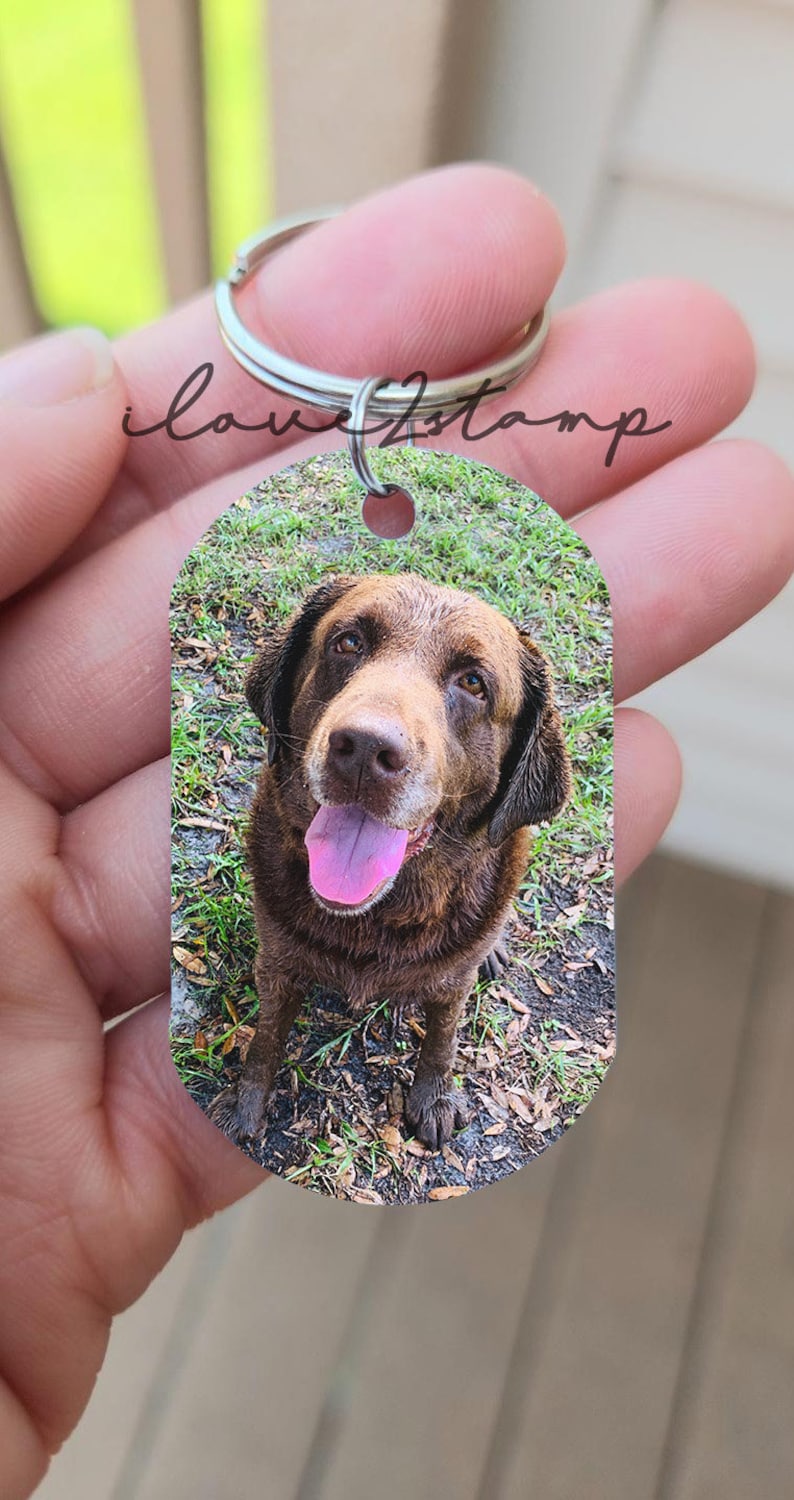 May include: A brown dog with a pink tongue sticking out is pictured on a metal keychain. The dog is looking at the camera and is surrounded by green grass and brown leaves.