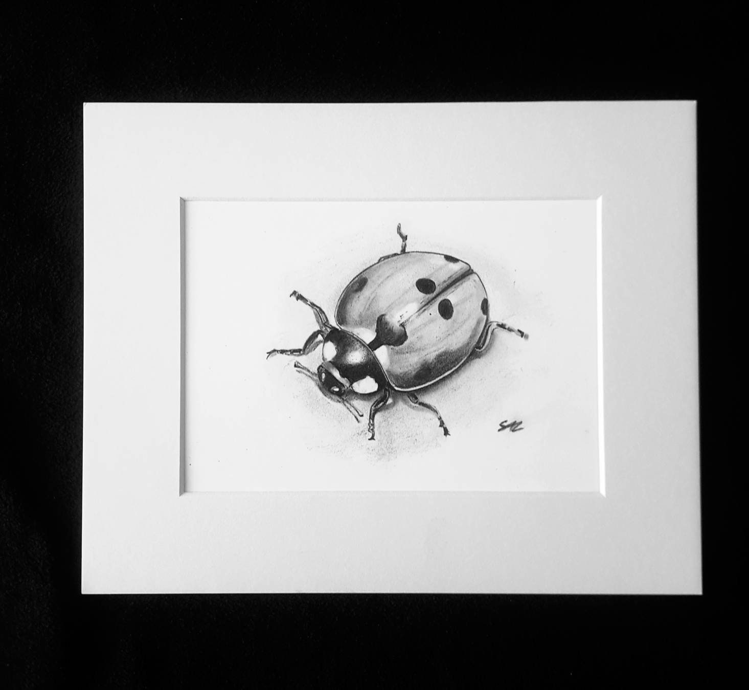 Aggregate 193+ ladybird sketch super hot