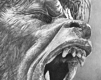 American Werewolf in London Fine Art - "Transformation" - Werewolf Drawing - 11x17 Pencil Drawing Print