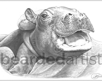 Baby Hippo Fine Art - Cute Animal Art - Nursery Wall Art - 11x17 Pencil Drawing Print