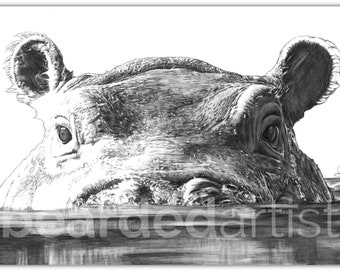 Hippo in Water Fine Art - Cute Animal Art - Nursery Wall Art - 11x17 Pencil Drawing Print