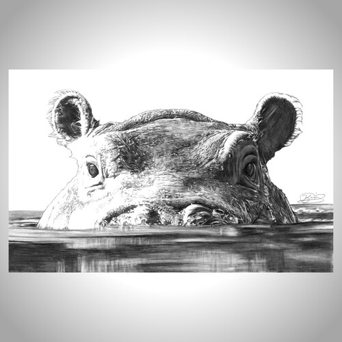 Fiona the Hippo Art Print - Etsy
