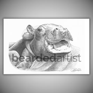 Baby Hippo Pencil Drawing Print – Cute Animal Art – 11x17 Graphite Fine Art – Nursery Wall Decor